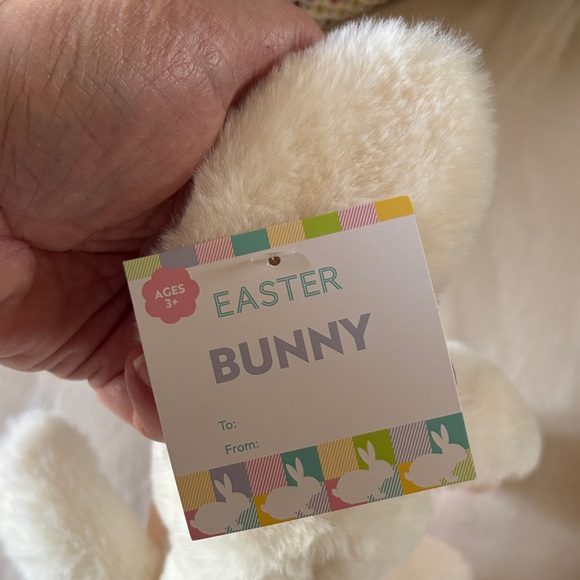 Set of 2 Plush Easter Bunnies NEW SOFT Ivory & Gray 10" Stuffed Animal Rabbit - Picture 5 of 10